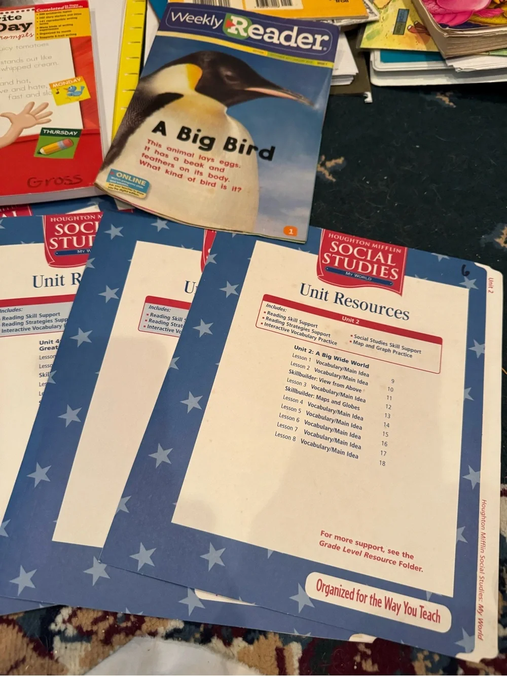Educational Activity Workbooks for Kids - Blue Star Covers